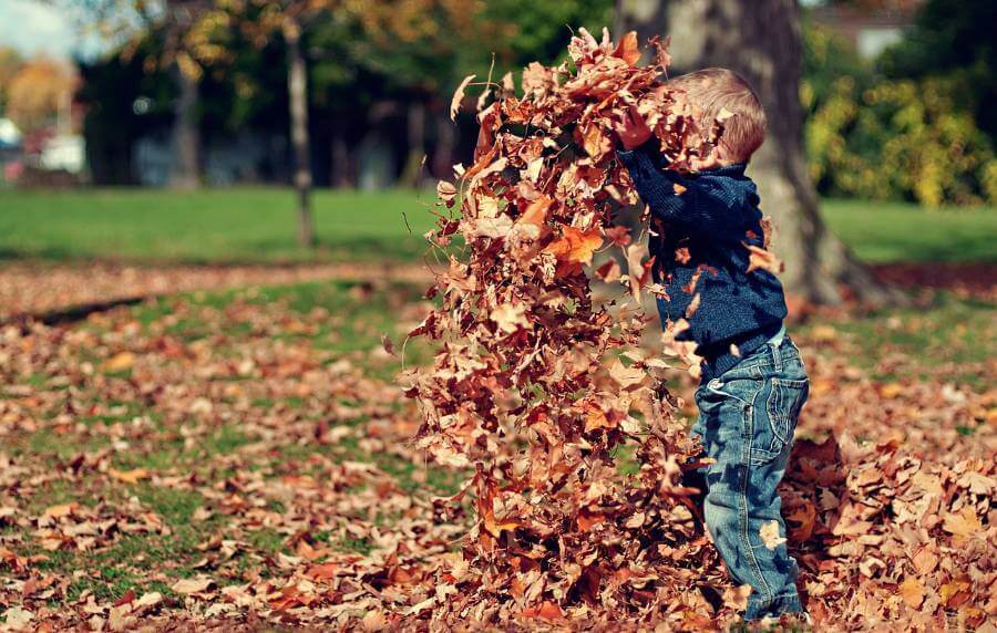 Есенски активности со твоето дете