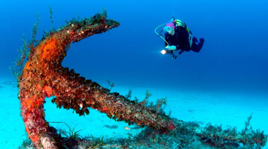malta diving